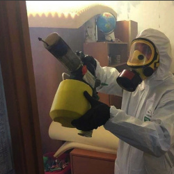 Уничтожение клопов в квартире. Водный стадион